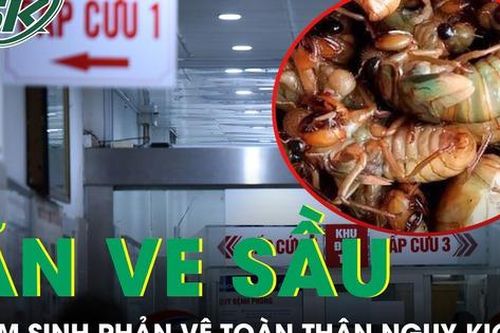 Ăn 2 con ve sầu, nam sinh 17 tuổi nhập viện lúc nửa đêm vì phản vệ toàn thân