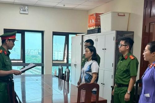 Người phụ nữ dùng mánh khóe tính vi lừa đảo chiếm đoạt 42 tỷ đồng