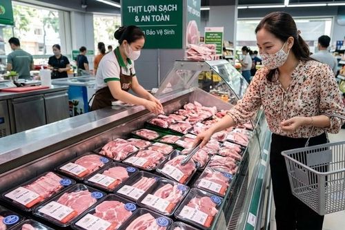 Giá heo hơi hôm nay 28.4: Miền Nam giữ đỉnh, cả nước đi ngang