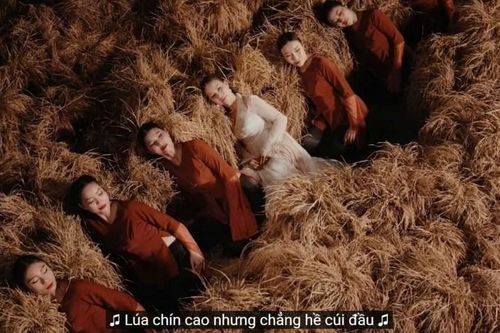 Khán giả phản ứng mạnh, nhạc sĩ Châu Đăng Khoa lên tiếng