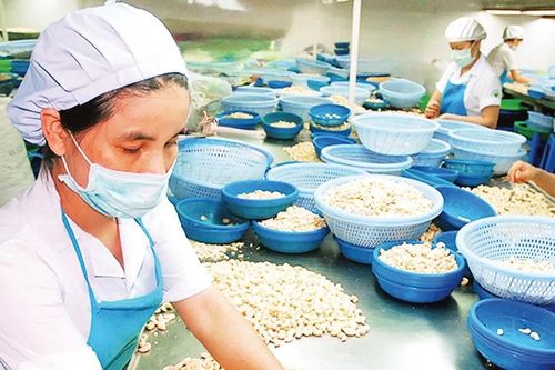 Biến 'rào cản xanh' thành lợi thế cạnh tranh