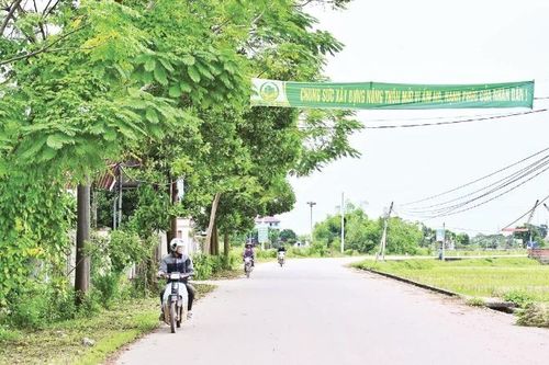 Thay đổi cách tiếp cận, đáp ứng yêu cầu nông thôn mới hiện đại