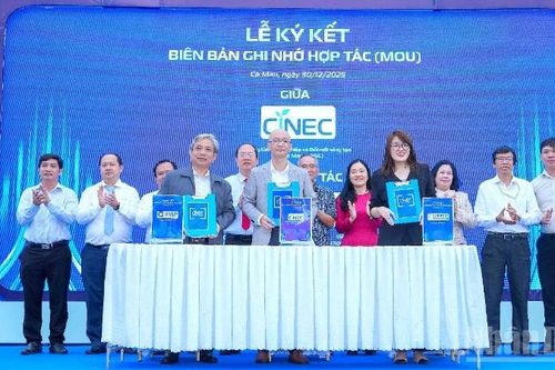 Khi công nghệ 'chạm' vào văn hóa và sinh thái Cà Mau