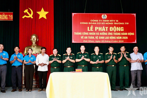 Nông trường 719 phát động Tháng Công nhân gắn với an toàn, vệ sinh lao động