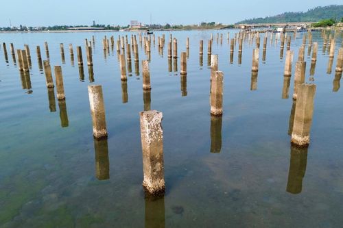 Bãi cọc bê-tông 'ám ảnh' đầm Lập An gần hai thập kỷ