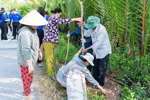 'Thành phố muôn sắc hoa' lan tỏa khắp phố phường
