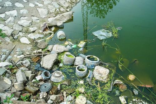 Ao hồ thành 'nơi gửi gắm tâm linh' kiểu xả rác?