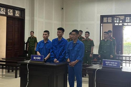 Xét xử trực tuyến nhóm đối tượng dùng ma túy... trả công người lao động