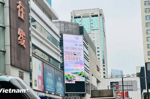Động lực trí tuệ nhân tạo đưa các nền kinh tế APEC lại gần nhau hơn
