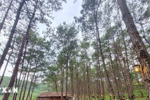 'Đánh thức' tiềm năng du lịch Kon Plông