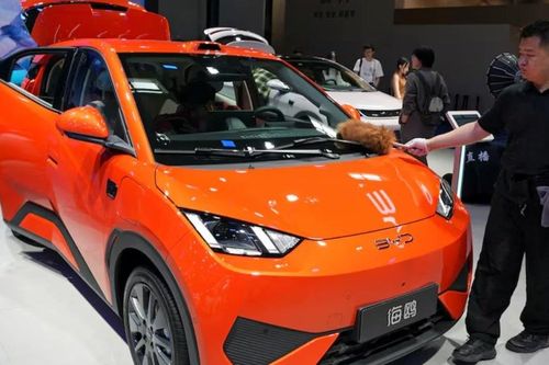 Sốc: 50.000 USD ở Mỹ chỉ mua được 1 ô tô, sang Trung Quốc mua được… 5 chiếc