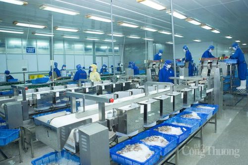 Đà Nẵng: Hướng về cơ sở, lấy người lao động làm trung tâm