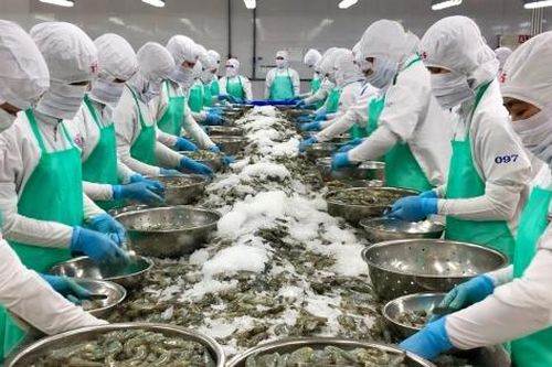 VinaFIS Expo 2026: Kết nối công nghệ, gia tăng giá trị ngành thủy sản