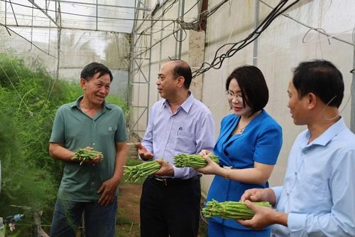 Chi hội trưởng nông dân làm kinh tế giỏi