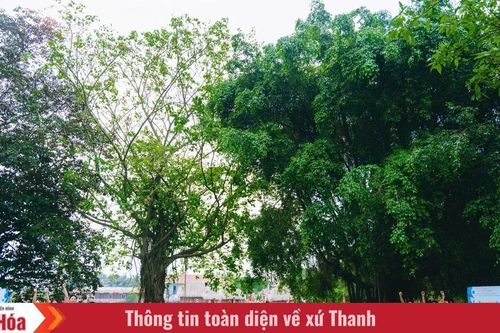 'Chiến binh phóng viên nhí' - Trại hè của bản lĩnh và sự sáng tạo