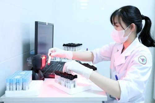 Y tế cơ sở Bắc Ninh bắt nhịp chuyển đổi số