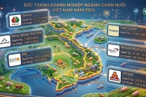 Doanh nghiệp nội chi hàng chục nghìn tỷ đồng định hình lại ngành chăn nuôi Việt Nam