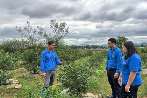 Hỗ trợ thanh niên khởi nghiệp, lập nghiệp