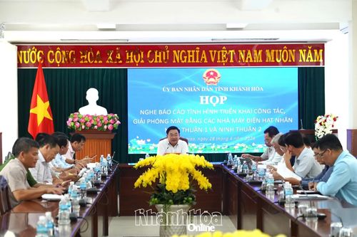 Tháo gỡ vướng mắc, bảo đảm tiến độ các dự án nhà máy điện hạt nhân