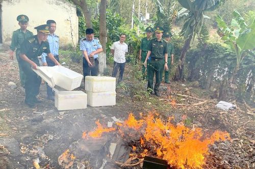 Tiêu hủy tang vật vi phạm hành chính bị tạm giữ
