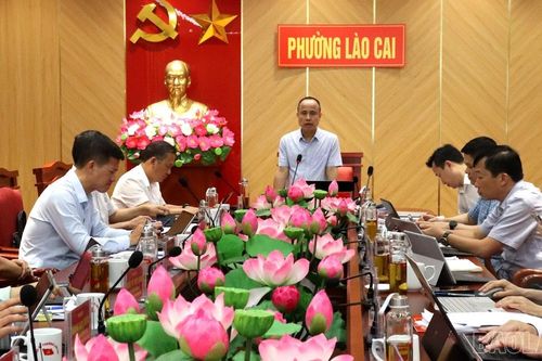 Đoàn giám sát số 03 Tỉnh ủy làm việc tại phường Lào Cai