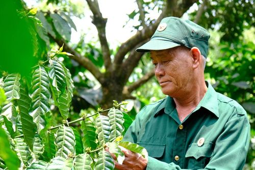 Người cựu chiến binh làm kinh tế giỏi