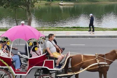 Tiếp tục cấm xe ngựa hoạt động quanh hồ Xuân Hương