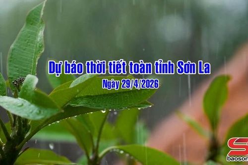 Dự báo thời tiết toàn tỉnh Sơn La ngày 29/4/2026