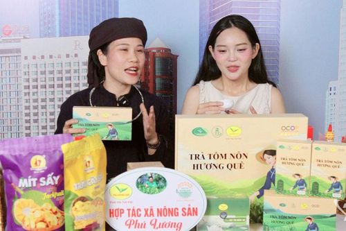 Tạo 'cú hích' nhân lực cho kinh tế tập thể