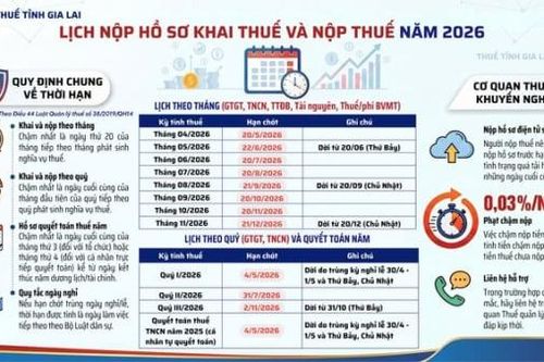 Cơ quan Thuế lưu ý thời hạn trực tiếp quyết toán thuế TNCN