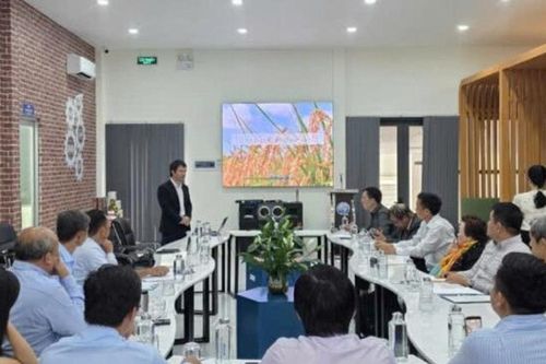Tây Ninh: Phát triển ngành dược liệu theo chuỗi giá trị gắn với công nghệ cao