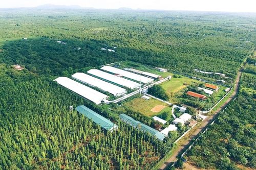 Thúc đẩy tăng trưởng xanh - lựa chọn của tương lai