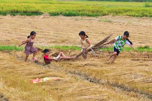 Tháng Tư về thăm chốn quê