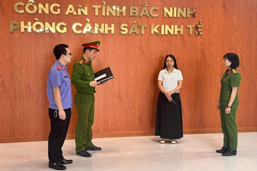 Lập khống hồ sơ chiếm đoạt 300 triệu, nữ kế toán trung tâm Phương Nam bị khởi tố