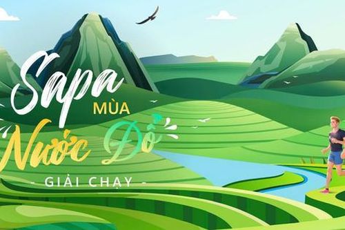 Trải nghiệm khung cảnh ruộng bậc thang kỳ vĩ tại Giải chạy 'Sa Pa mùa nước đổ 2026'
