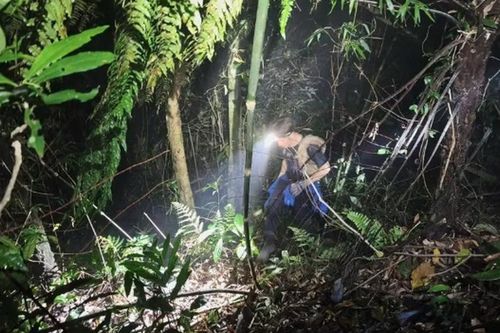Thông tin 'gia đình chi tiền cứu nạn' vụ nam sinh mất tích ở Tam Đảo là không đúng sự thật