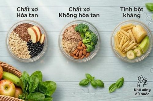 Có 2 hay 3 loại chất xơ thiết yếu và tại sao cần bổ sung đủ?