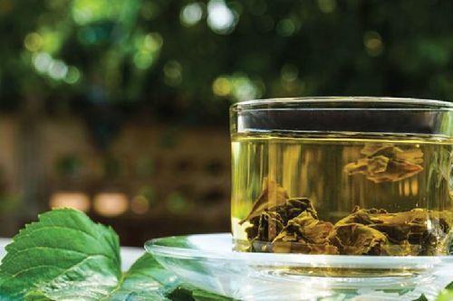 Cách dùng lá dâu tằm cải thiện giấc ngủ