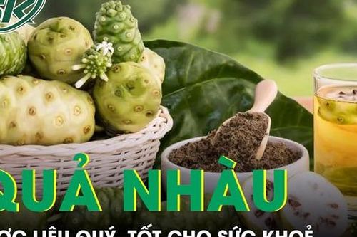 Quả nhàu mọc dại bị chê hôi lại là dược liệu quý, tốt cho sức khỏe