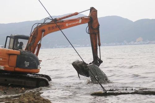 Trục vớt vật thể giống xác xe tăng trên biển Quy Nhơn