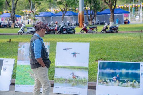 Xem triển lãm 'Đất lành chim đậu', hiểu thêm về thiên nhiên