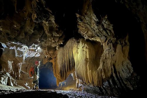 Mở ra hướng nghiên cứu sâu hơn về địa chất và hệ sinh thái lịch sử