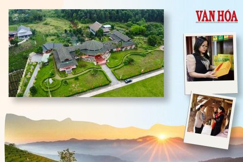 Đánh thức sức hút du lịch từ văn hóa trà Thái Nguyên