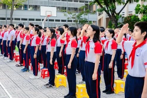 Thành phố Hồ Chí Minh: Đề nghị khảo sát năng lực học sinh vào Trường trung học cơ sở Nguyễn An Ninh, phường Tam Thắng