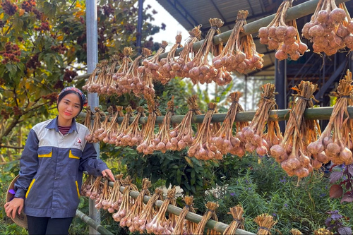Từ vườn rừng bản Thổ