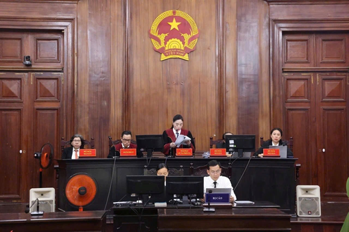Những trường hợp vi phạm về đất đai được hoãn chấp hành, miễn, giảm hình phạt