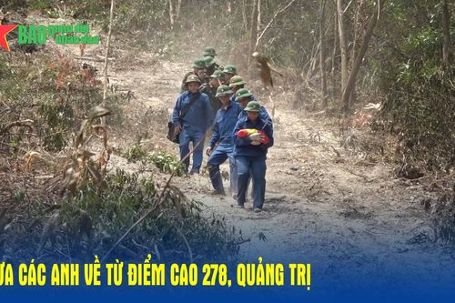 Đưa các anh về từ Cao điểm 278, Quảng Trị