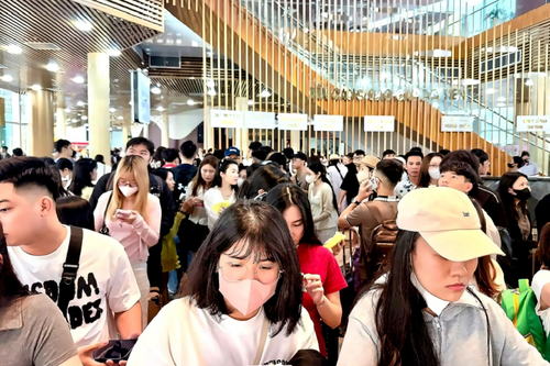 Hỗ trợ vé qua cảng cho cán bộ, chiến sĩ và nhân dân tại Vân Đồn, Cô Tô