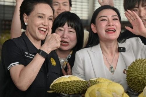 Sầu riêng Thái 'cháy hàng' trên livestream Trung Quốc