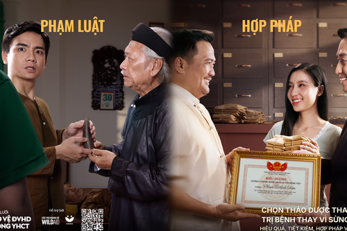 Chiến dịch 'Khổ tâm của lương y' và nhận thức từ bỏ việc sử dụng sừng tê giác